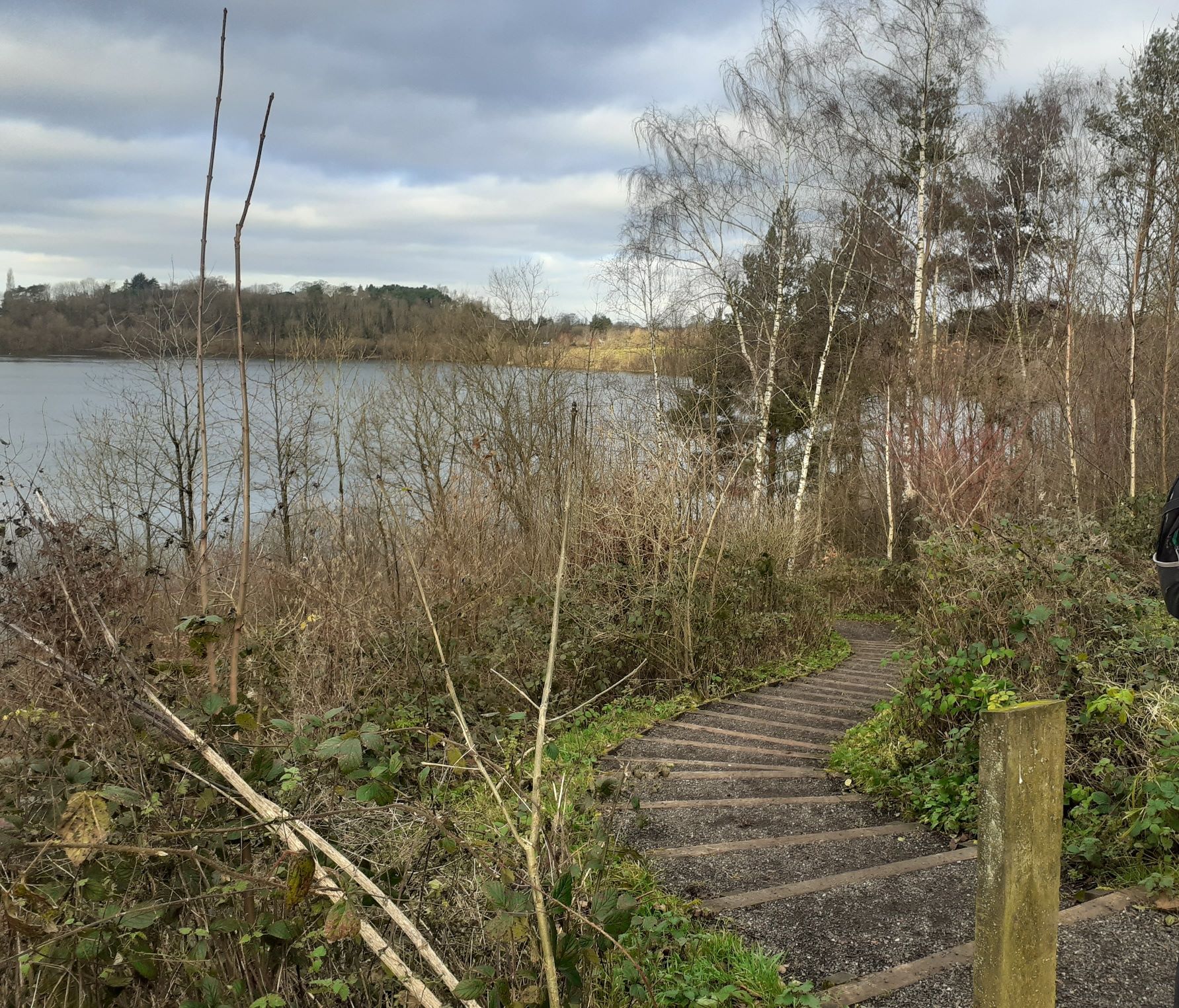 Lane32