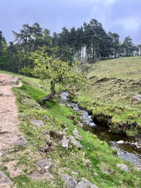 Cumberland Clough